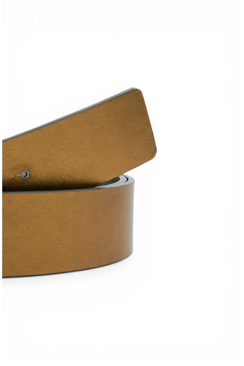 Reversible Leather Belt, Alternate, color, GoldSilver