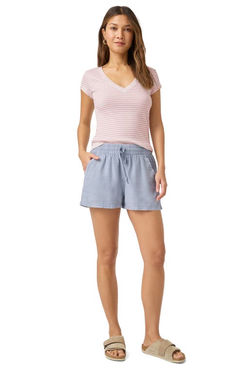 Splendid Faye Stripe V-neck T-shirt