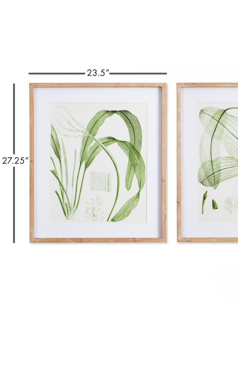 Napa Home & Garden Aquatic Leaf Prints, Set Of 2, Alternate, color, Green