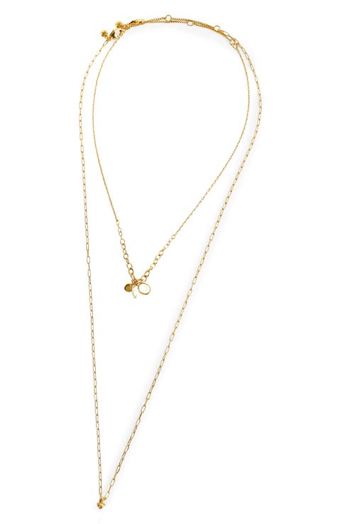 Long Horn Mother of Pearl Layered Necklace