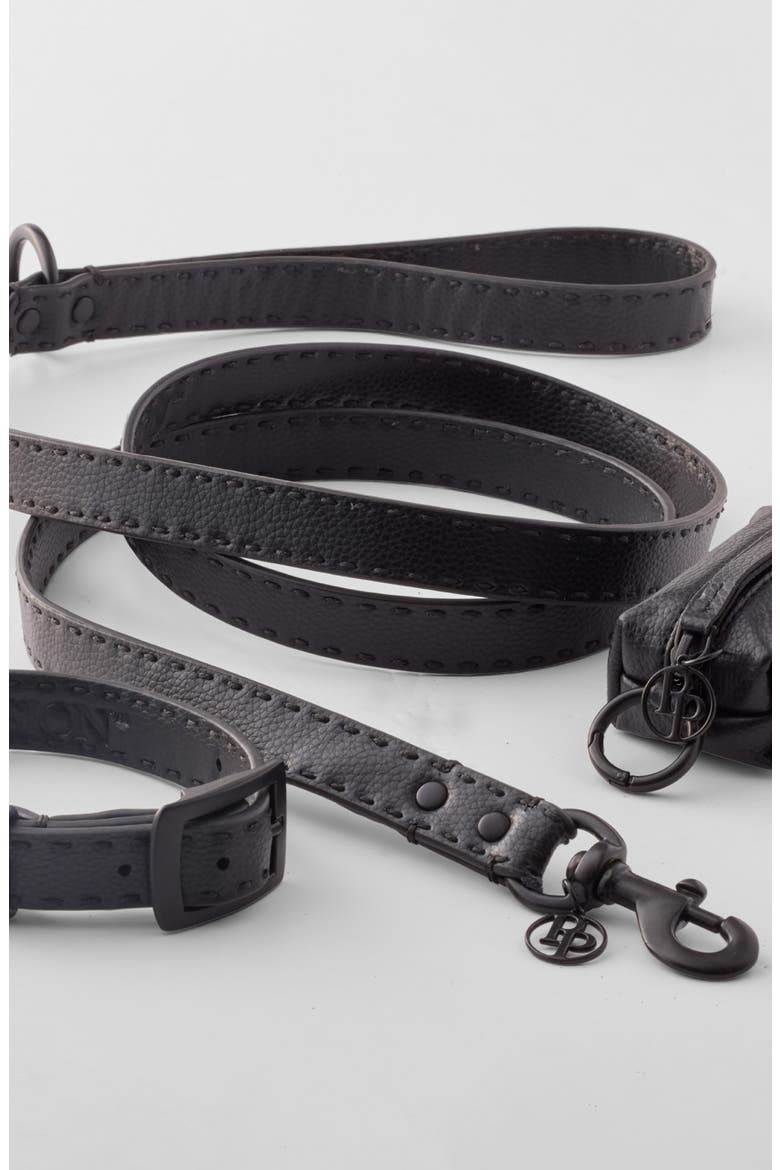 Rein Faux Leather Dog Collar, Alternate, color, BLACK BEAUTYDNU