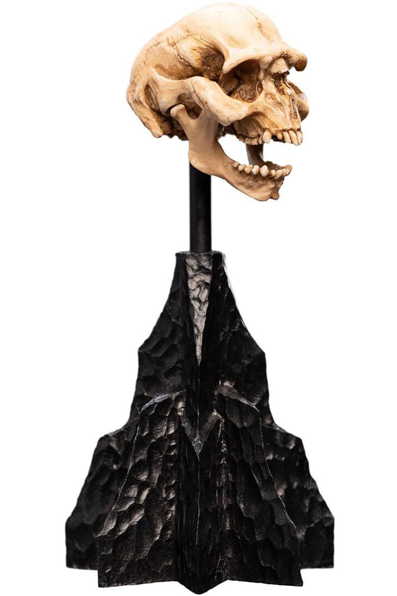 Lotr - Skull Of A Moria Orc Polystone Statue, Alternate, color, Multicolor