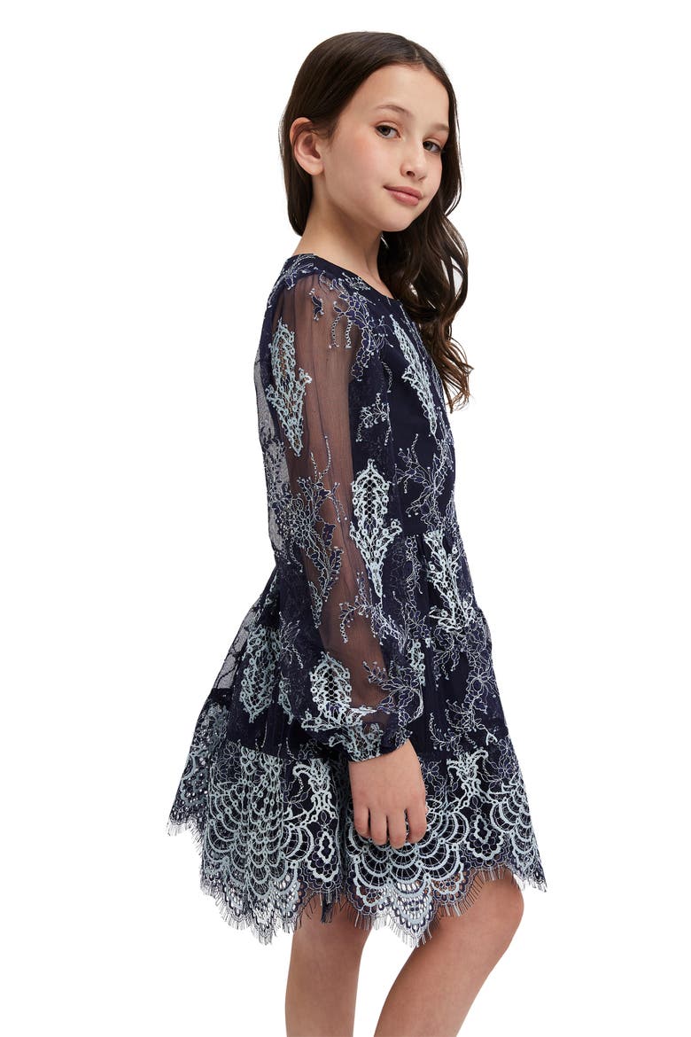 Kids' Sienna Embroidered Long Sleeve Dress, Alternate, color, BLUE/NAVY
