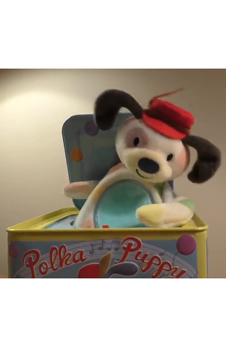Schylling Polka Puppy Jack In Box, Alternate, color, Multicolored