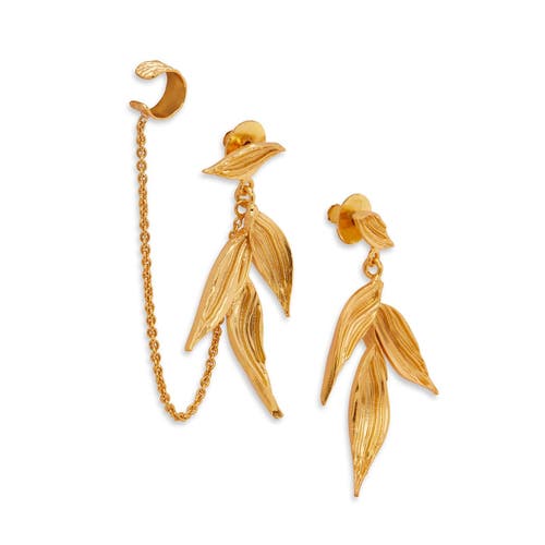 Dhwani Bhansal Isaro Mini Earrings In Gold Plated