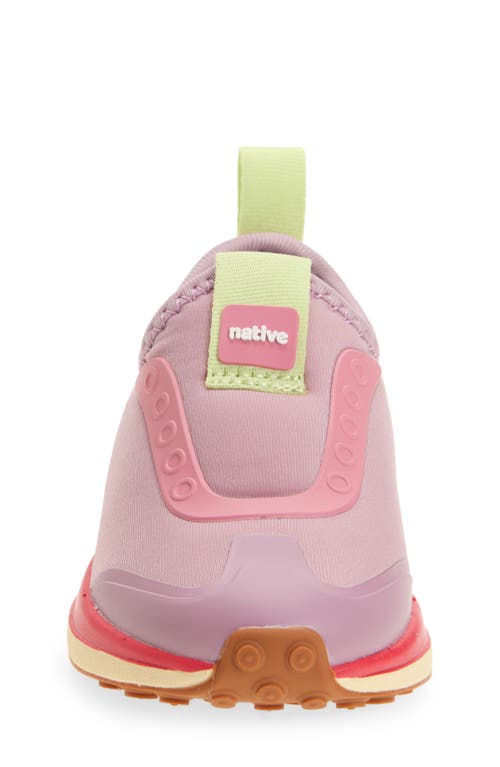 Native Shoes Robbie Dash Slip-on Sneaker In Pink