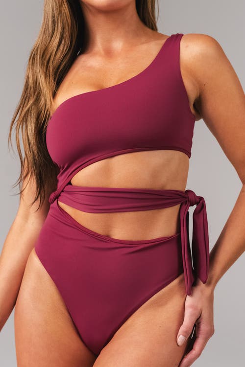 Vitality Tropica Asym One Piece In Burgundy