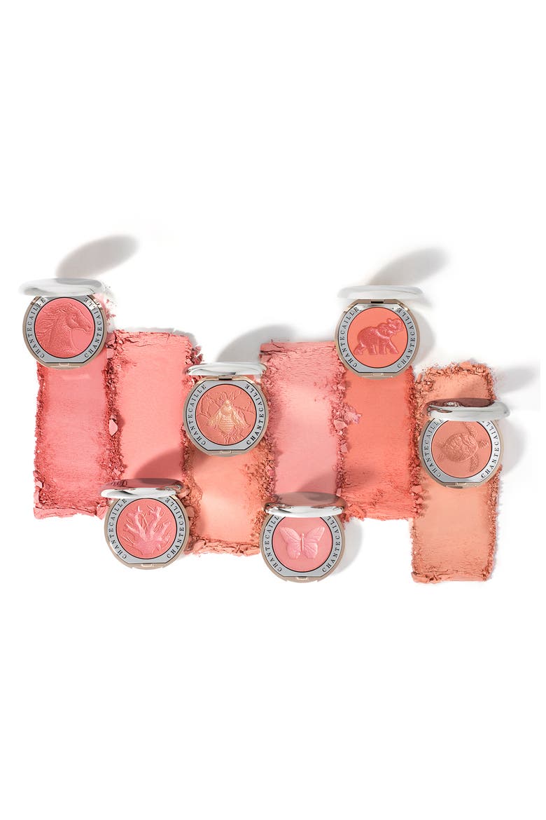 Philanthropy Cheek Shade Blush, Alternate, color, BUTTERFLY