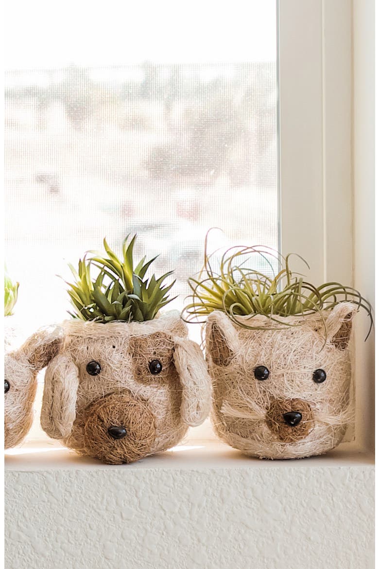 Mini Dog Succulent Planter, Alternate, color, WHITE / BROWN