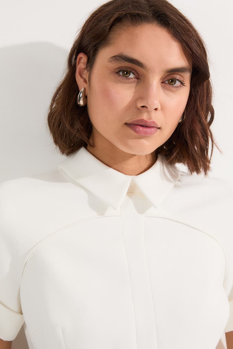 Full Skirted Midi Dress, Alternate, color, Ivory