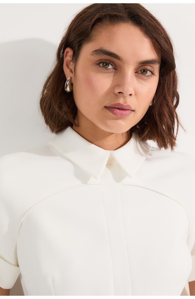 Karen Millen Full Skirted Midi Dress, Alternate, color, Ivory