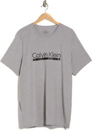 Calvin Klein Chill Logo Graphic Tee