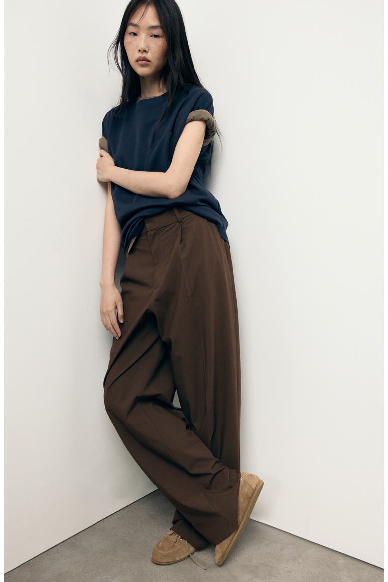 Pleated Wide Leg Pants, Alternate, color, BROWN