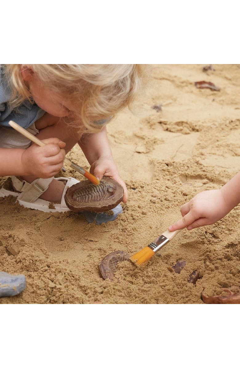 Kaplan Early Learning Company Magnetic Matching Fossil Stones - Set of 6, Alternate, color, Multicolored