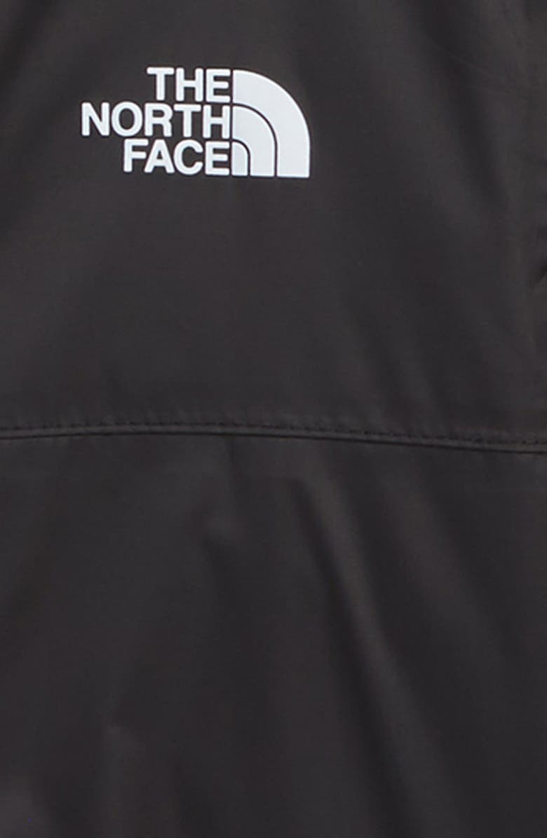 The North Face Tailout Hooded Rain Jacket, Alternate, color, 