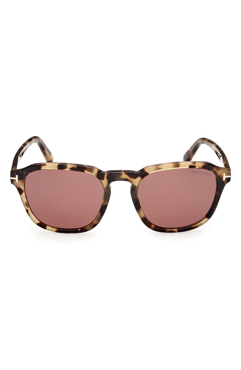 TOM FORD 52mm Round Sunglasses, Main, color, 