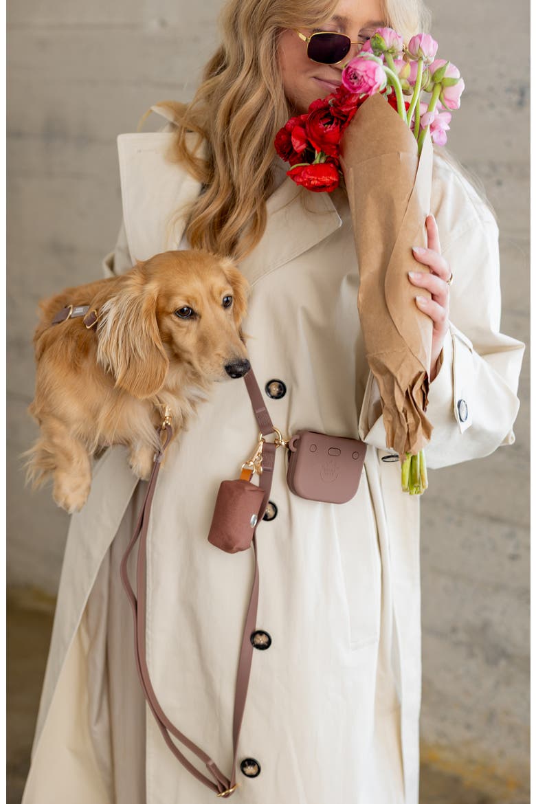 4-in-1 Convertible Hands Free Leash, Alternate, color, ESPRESSO BROWN