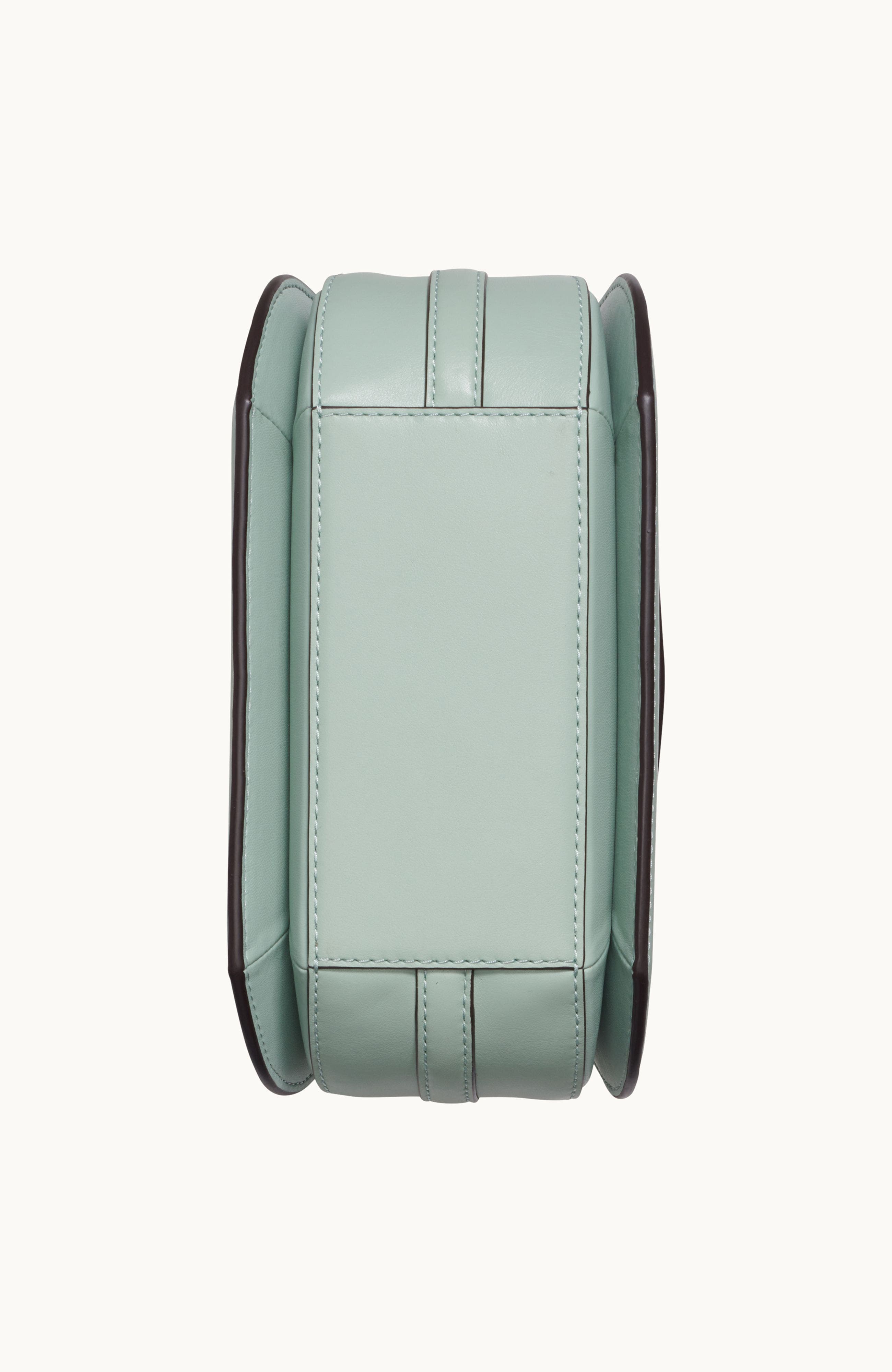 Donna Karan New York Bellerose Flap Crossbody, Alternate, color, Pale Jade