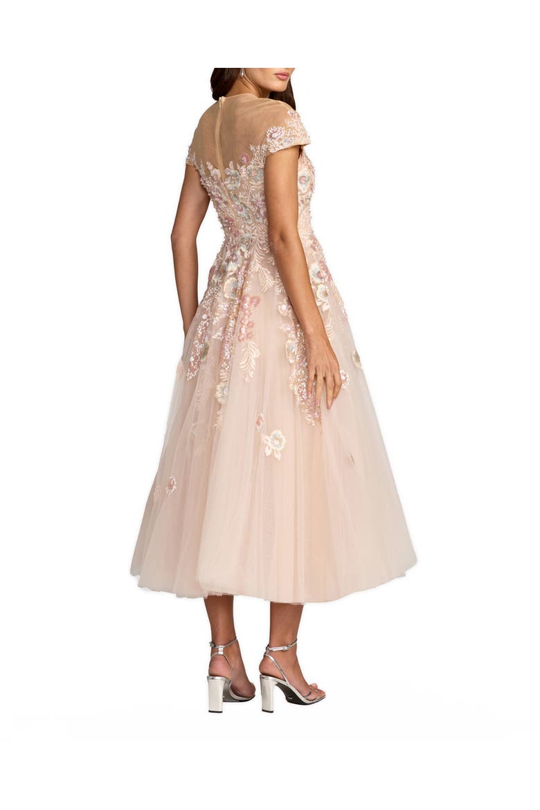 Embroidered Tulle Illusion Neck Cap Sleeve Dress, Alternate, color, Blush Multi