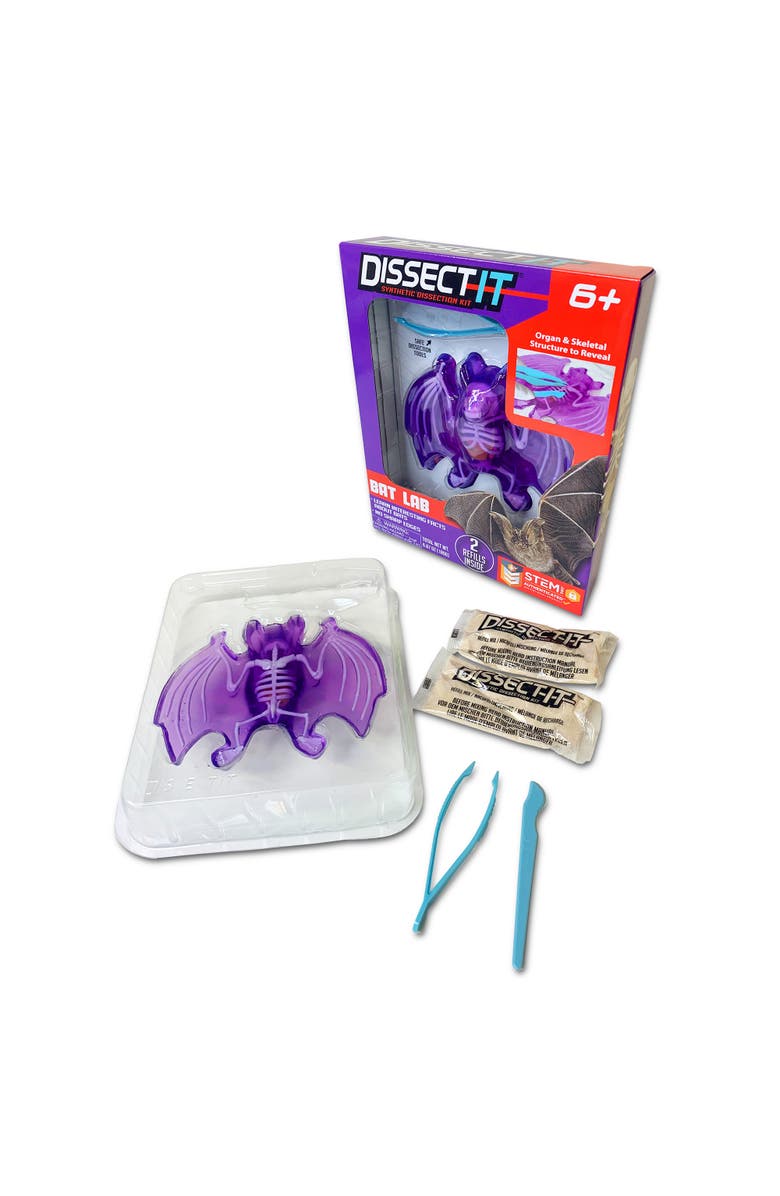 Dissect-It Dissect It Bat Lab Synthetic Dissection Kit, Alternate, color, Multicolored