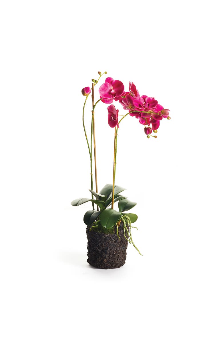 Napa Home & Garden Phalaenopsis X 2 Drop-In 29", Main, color, 