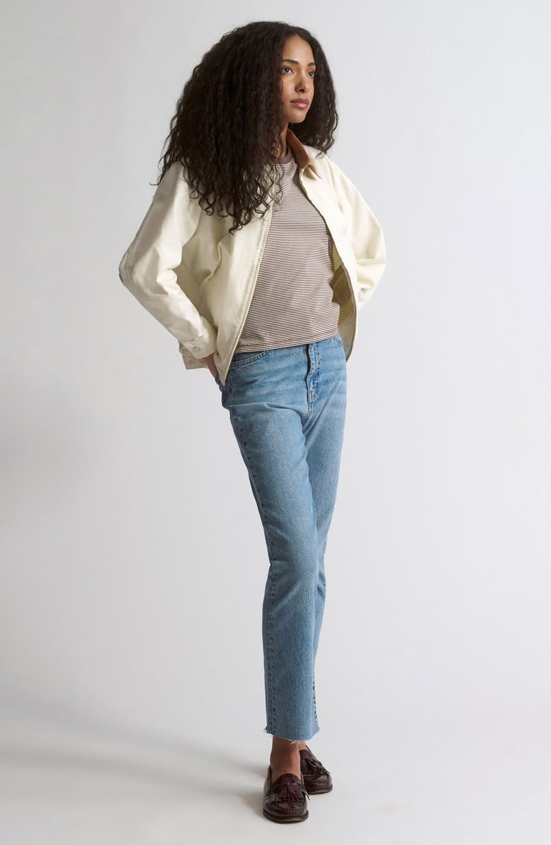 Brooklyn Industries Turtledove Jacket, Alternate, color, Turtledove