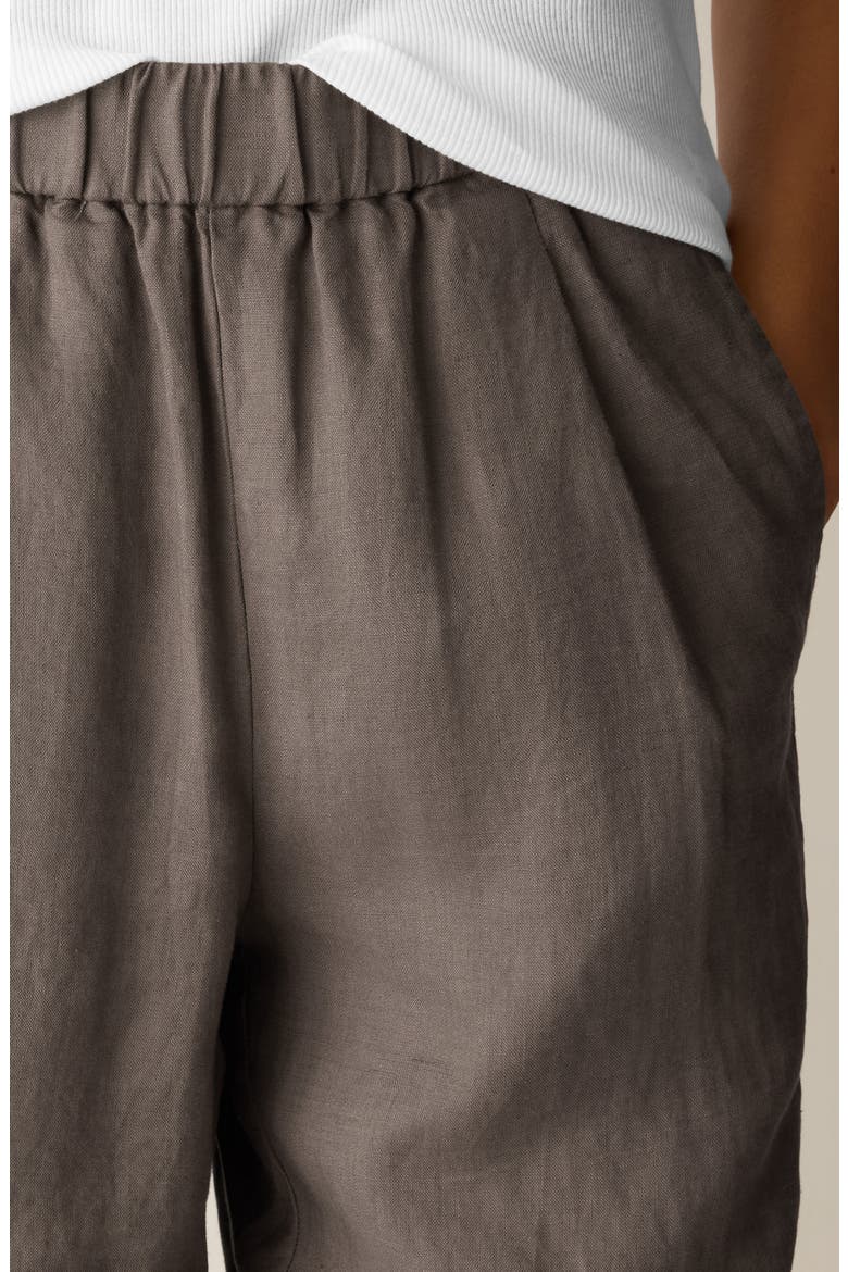 Pleated Organic Linen Lantern Pants, Alternate, color, WLNUT