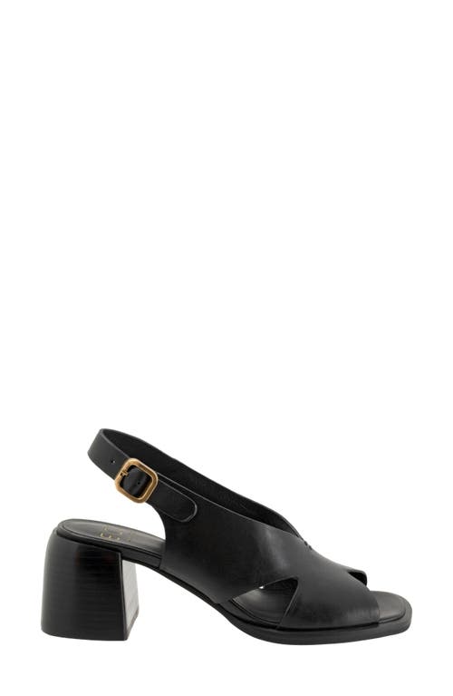 Eos Footwear Isadora Slingback Sandal In Onyx