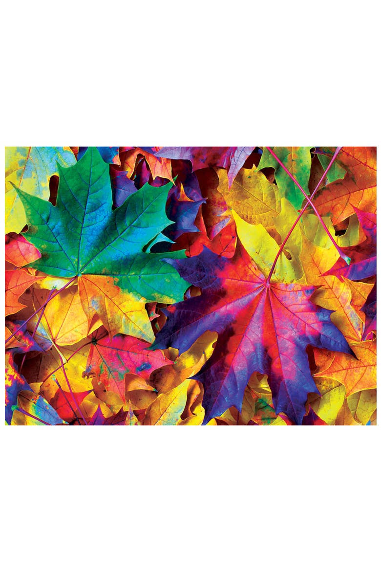 Fall Frenzy 500 Piece Jigsaw Puzzle, Alternate, color, Multicolor