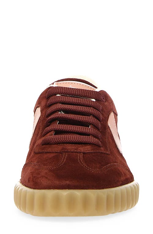 Voile Blanche Ines Sneaker In Burgundy