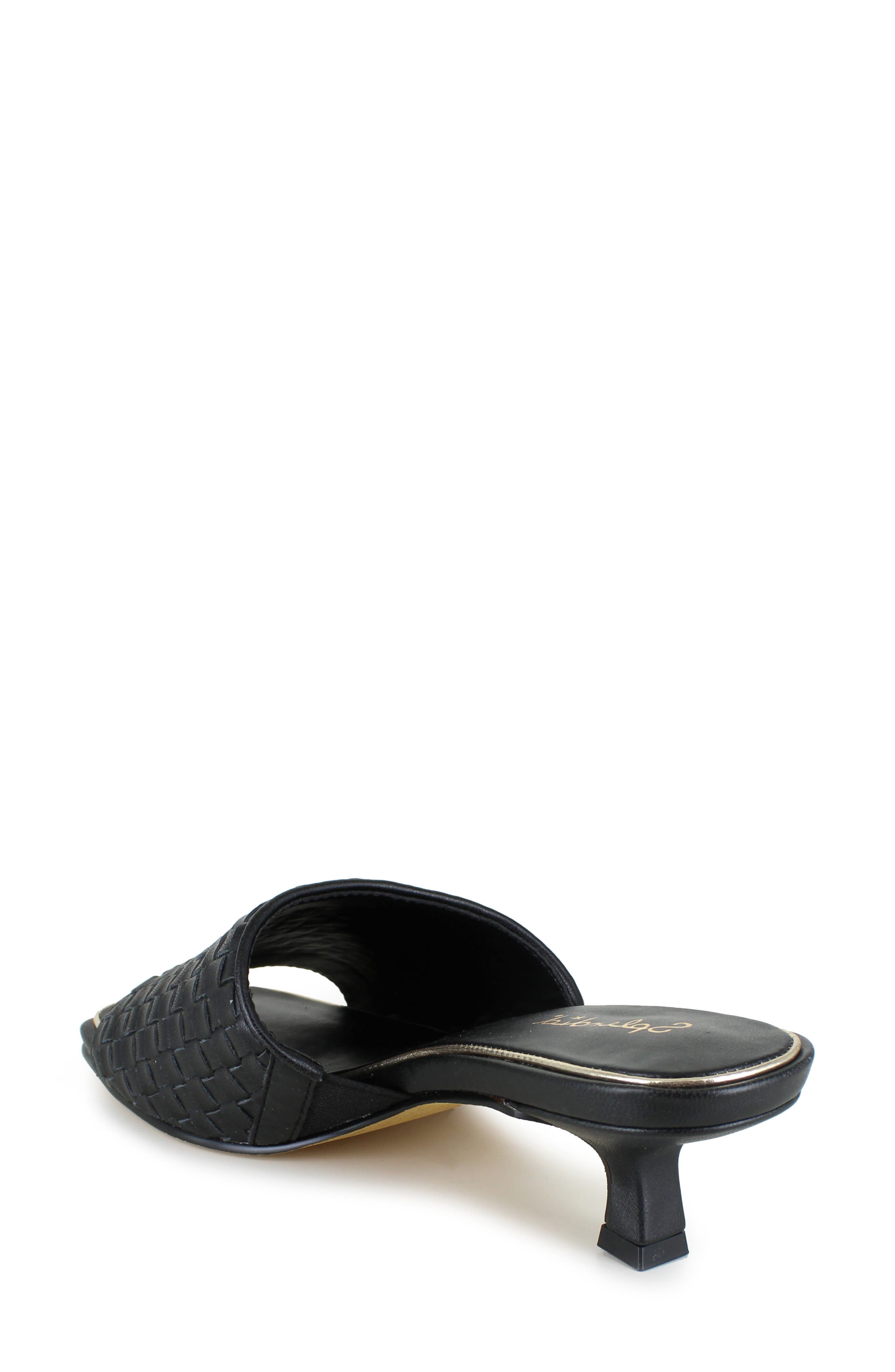 Splendid Hampton Slide Sandal, Alternate, color, Black