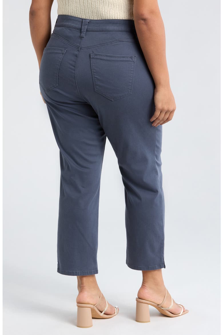 High Waist Ankle Straight Leg Pants, Alternate, color, SHADOW
