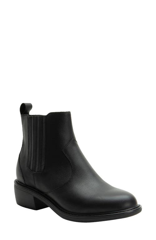 Alegria By Pg Lite Malia Bootie In Black