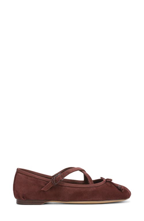 Circus Ny By Sam Edelman Zuri Strappy Ballet Flat In Brown