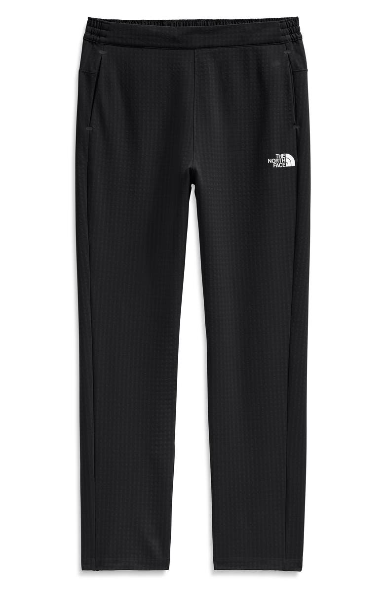 The North Face Tekware<sup>™</sup> Grid Water Repellent Pants, Alternate, color,