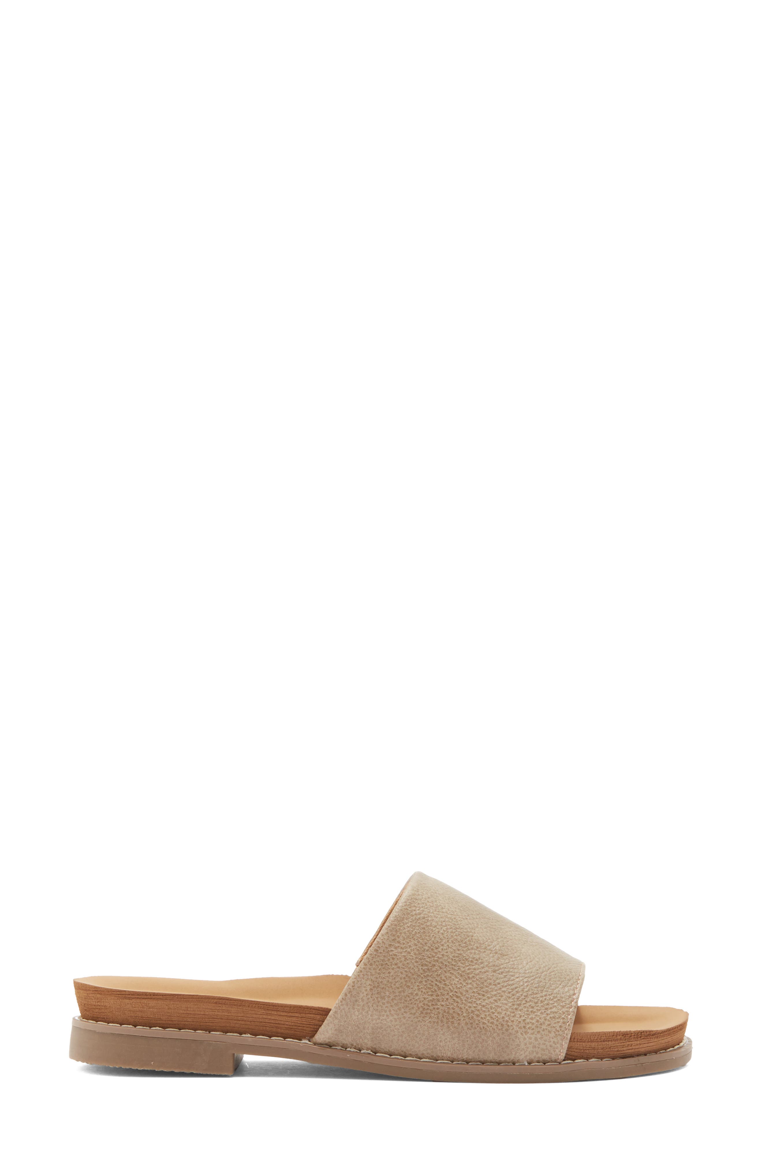 Kalo Slide Sandal, Alternate, color, TAUPE