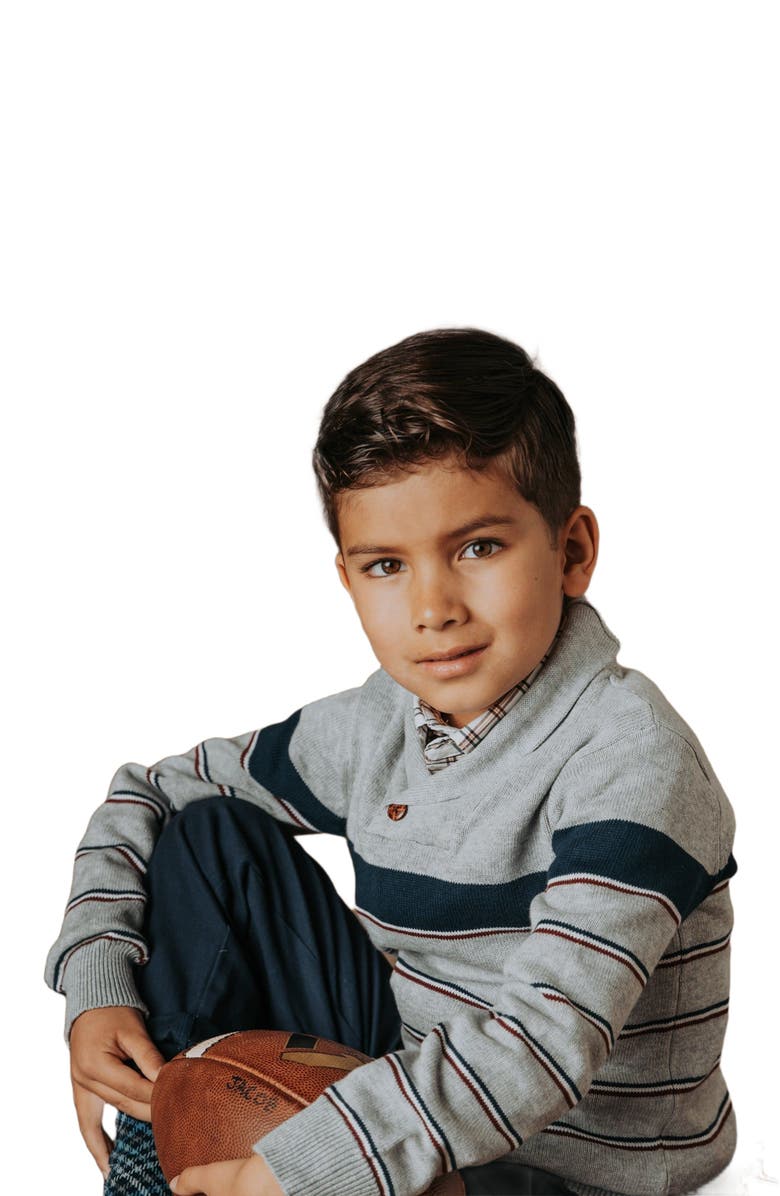 Hope & Henry Boys' Organic Shawl Collar Sweater, Kids, Alternate, color, 