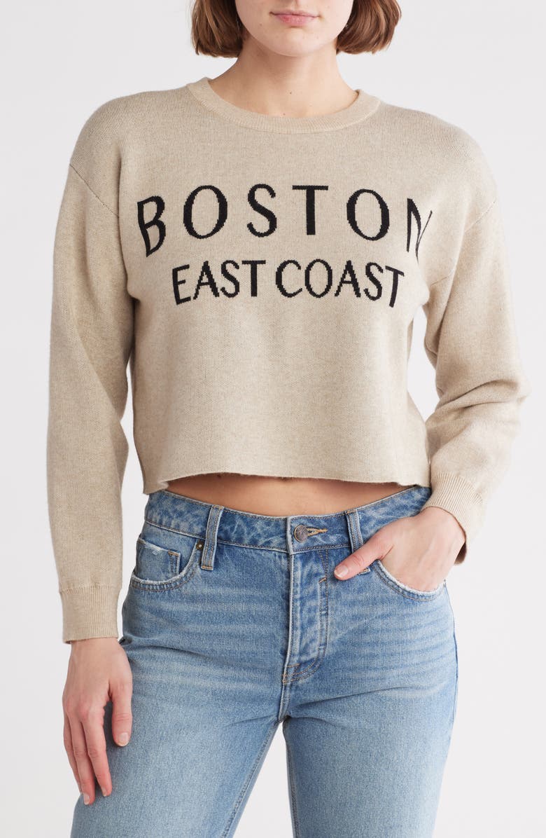 Vigoss Destination Crop Pullover Sweater, Main, color,