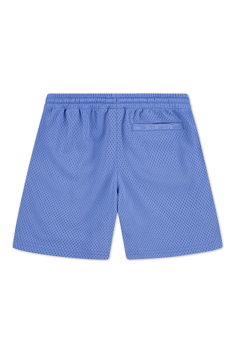 Kids' Customized Air Flame Shorts, Alternate, color, ROYAL PULSE