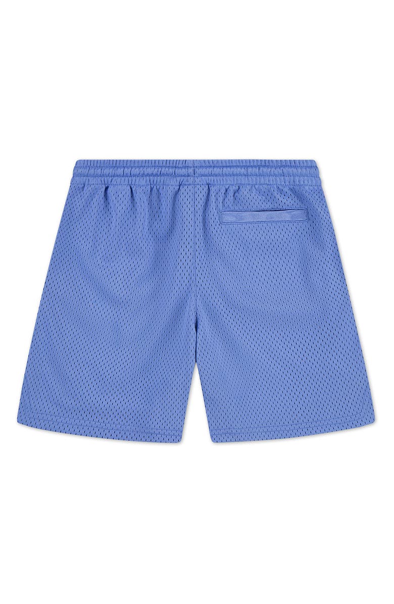 Jordan Kids' Customized Air Flame Shorts, Alternate, color,