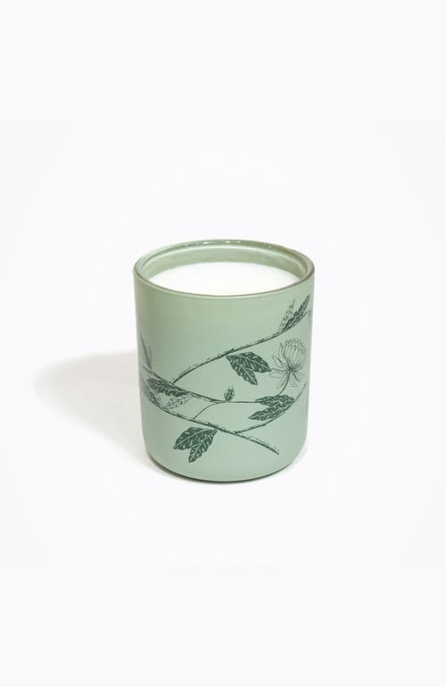 Bond & Grace Moorland Breeze Candle In Green