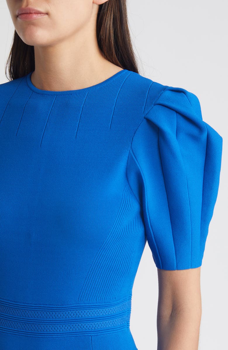 Velvey Puff Sleeve Dress