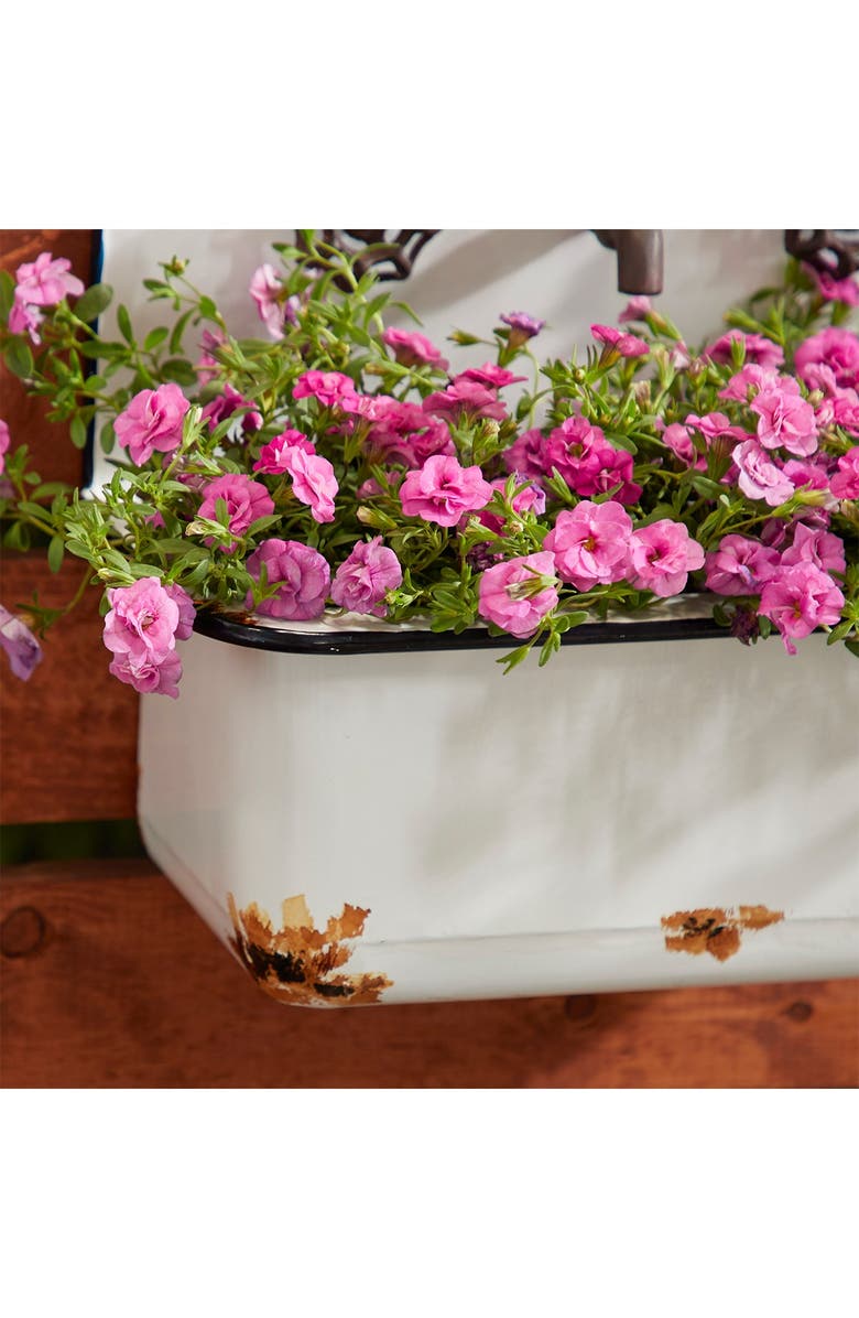 SONOMA SAGE HOME White Metal Indoor Outdoor Sink Wall Planter - Set of 2, Alternate, color,