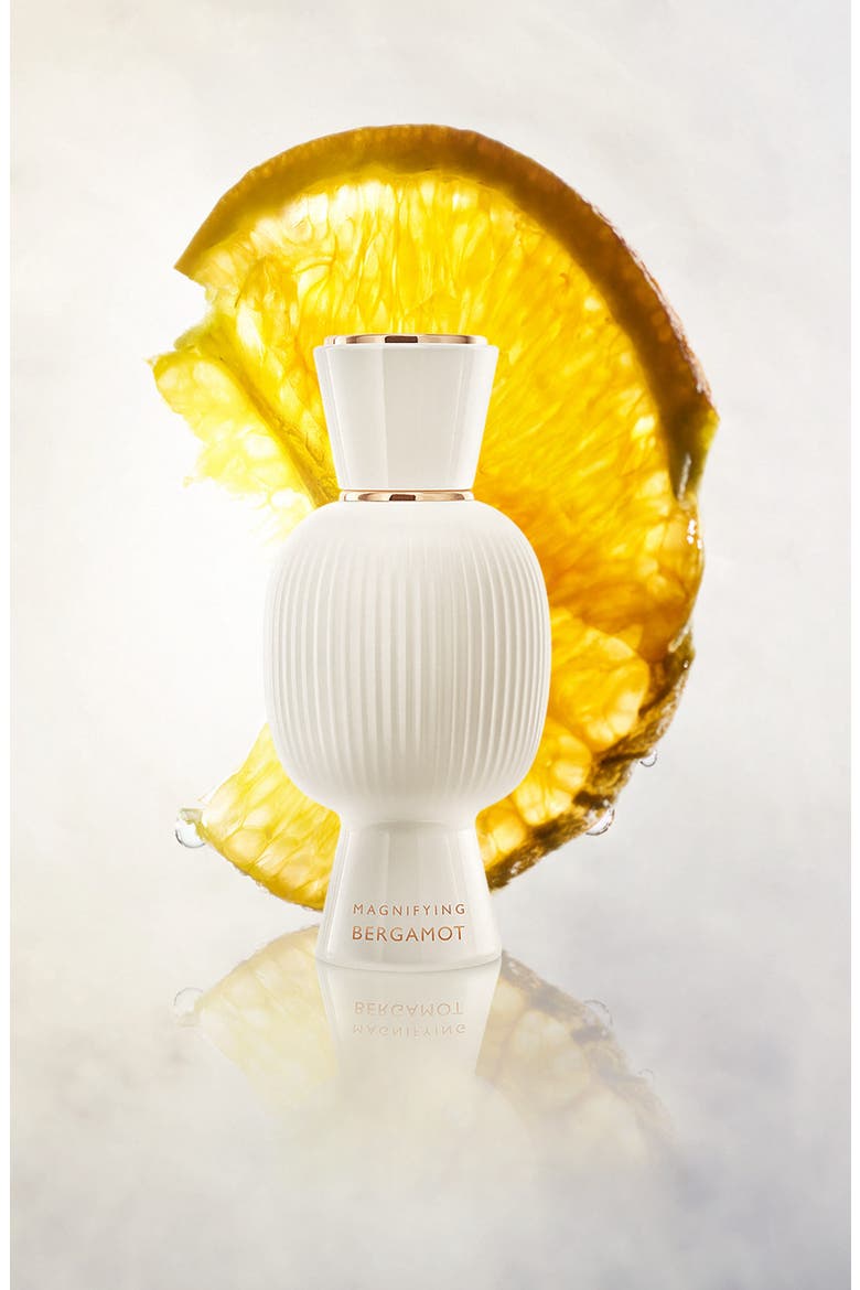 Allegra Magnifying Bergamot Essence, Alternate, color, NO COLOR