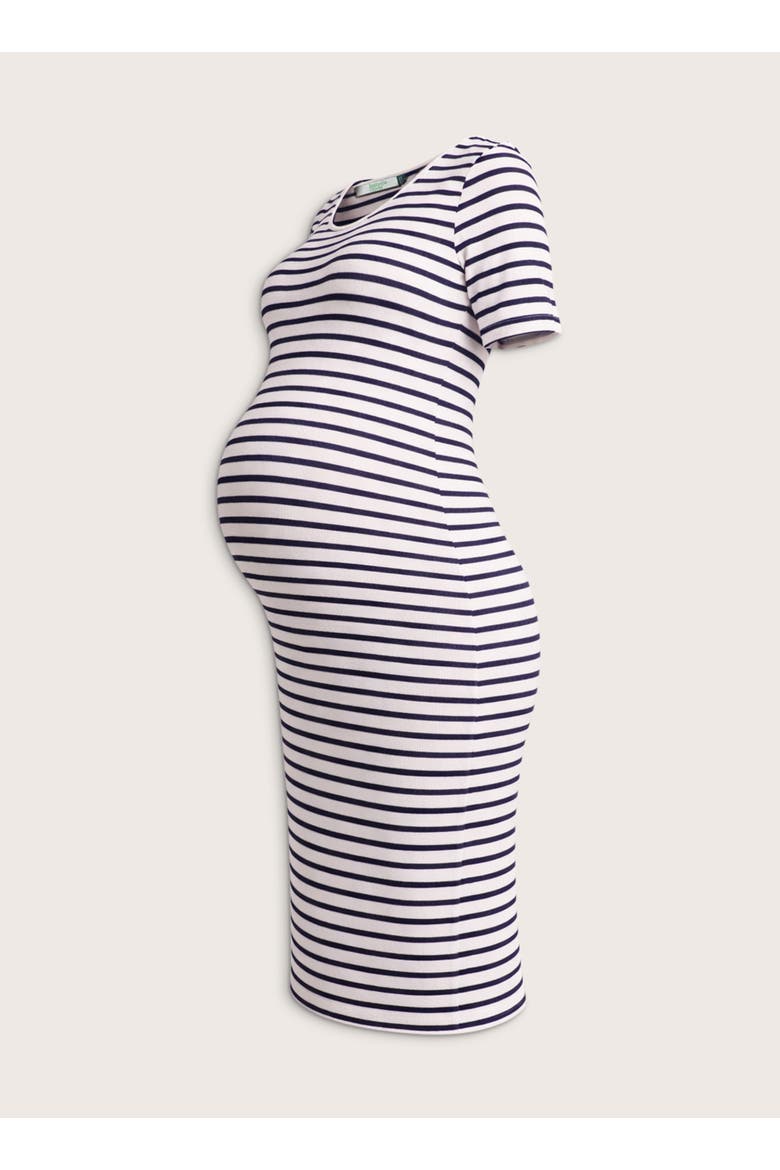 Anise Maternity Round Neck Fitted Dress, Alternate, color, Soft White & Navy Stripe