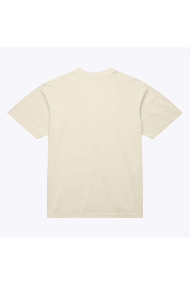 Men's Mitchell & Ness Cream Detroit Pistons Abbrev. Arch T-Shirt, Alternate, color, Cream