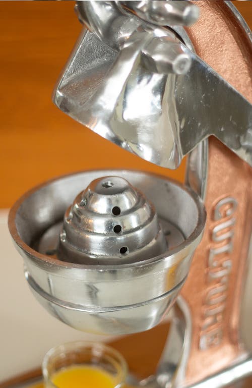 Verve Culture Juicer Large Rose Gold In Rose Gold