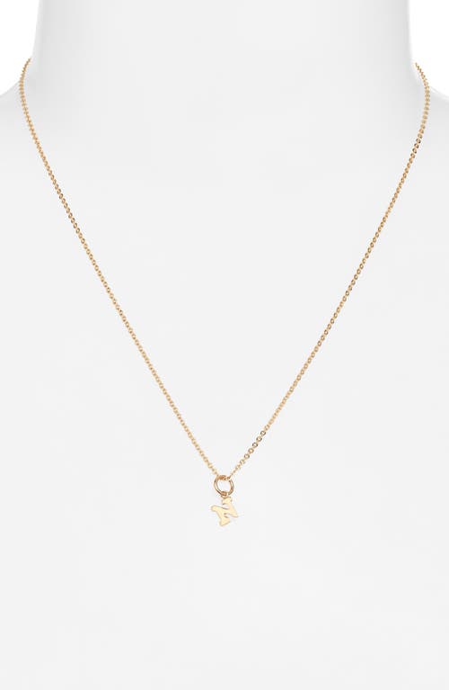 Nashelle Initial Pendant Necklace In Gold Fill - N