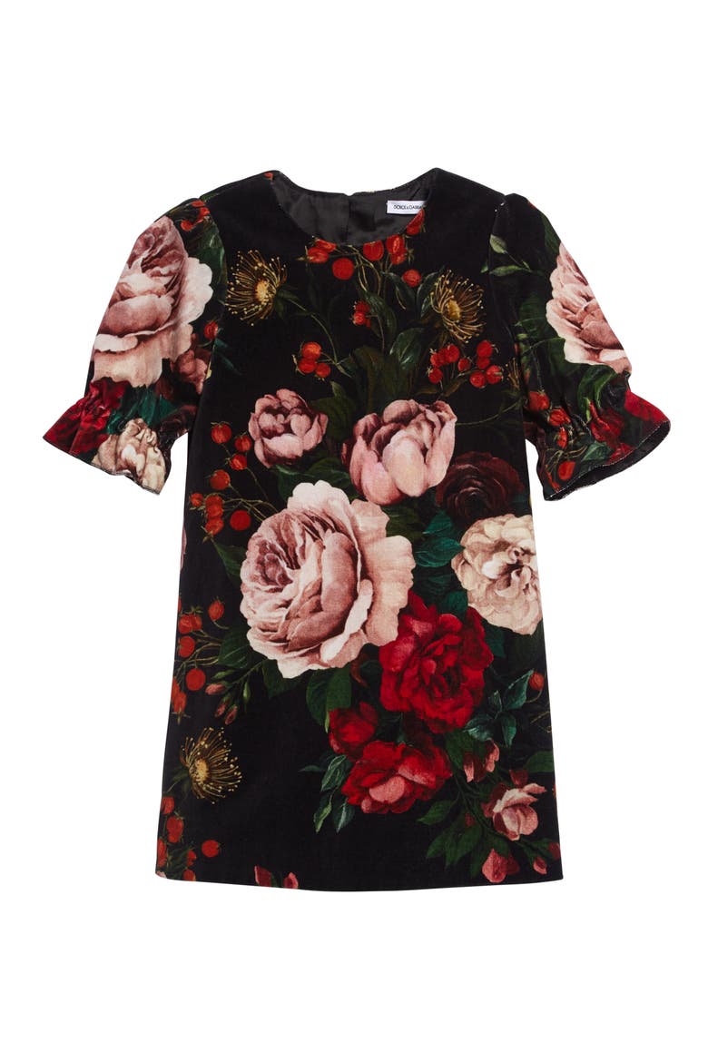 Floral Velveteen Dress, Main, color, ROSE/ BLACK