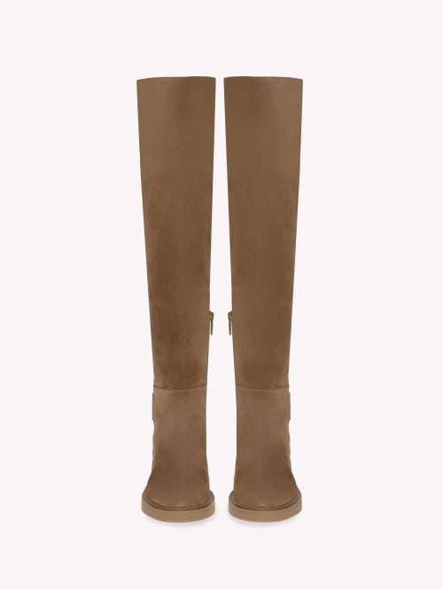 Gianvito Rossi Suede Over-the-knee Boots In Brown
